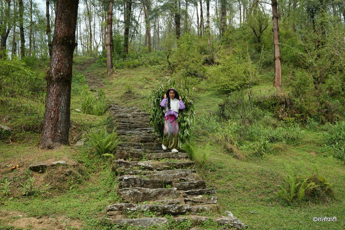 Barpak_Gorkha (10)