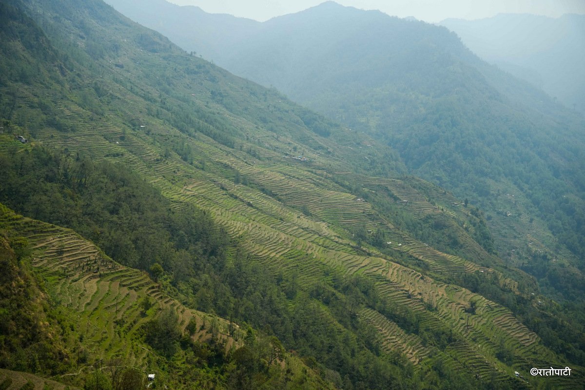 Barpak_Gorkha (3)