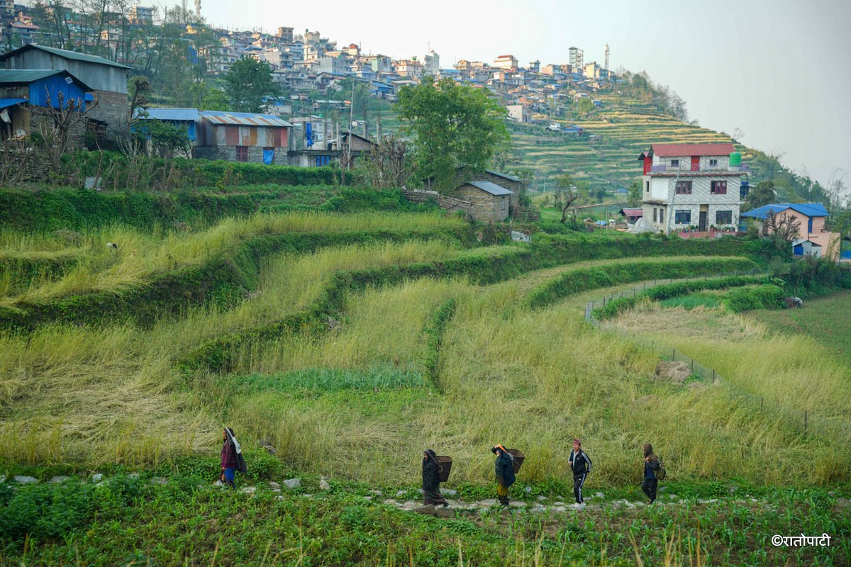 Barpak_Gorkha (9)