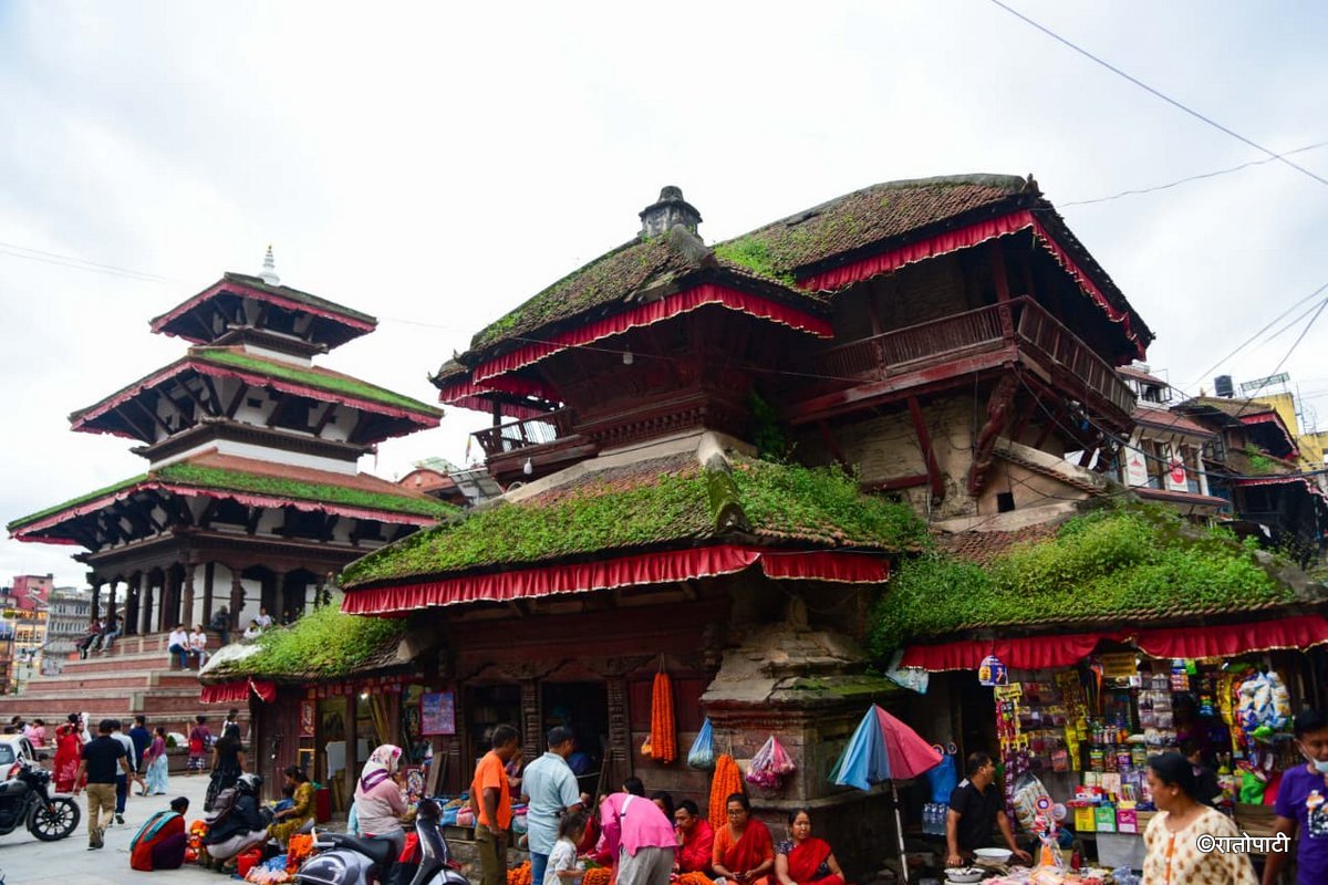 Basantapur ma Grass_NPL (1)