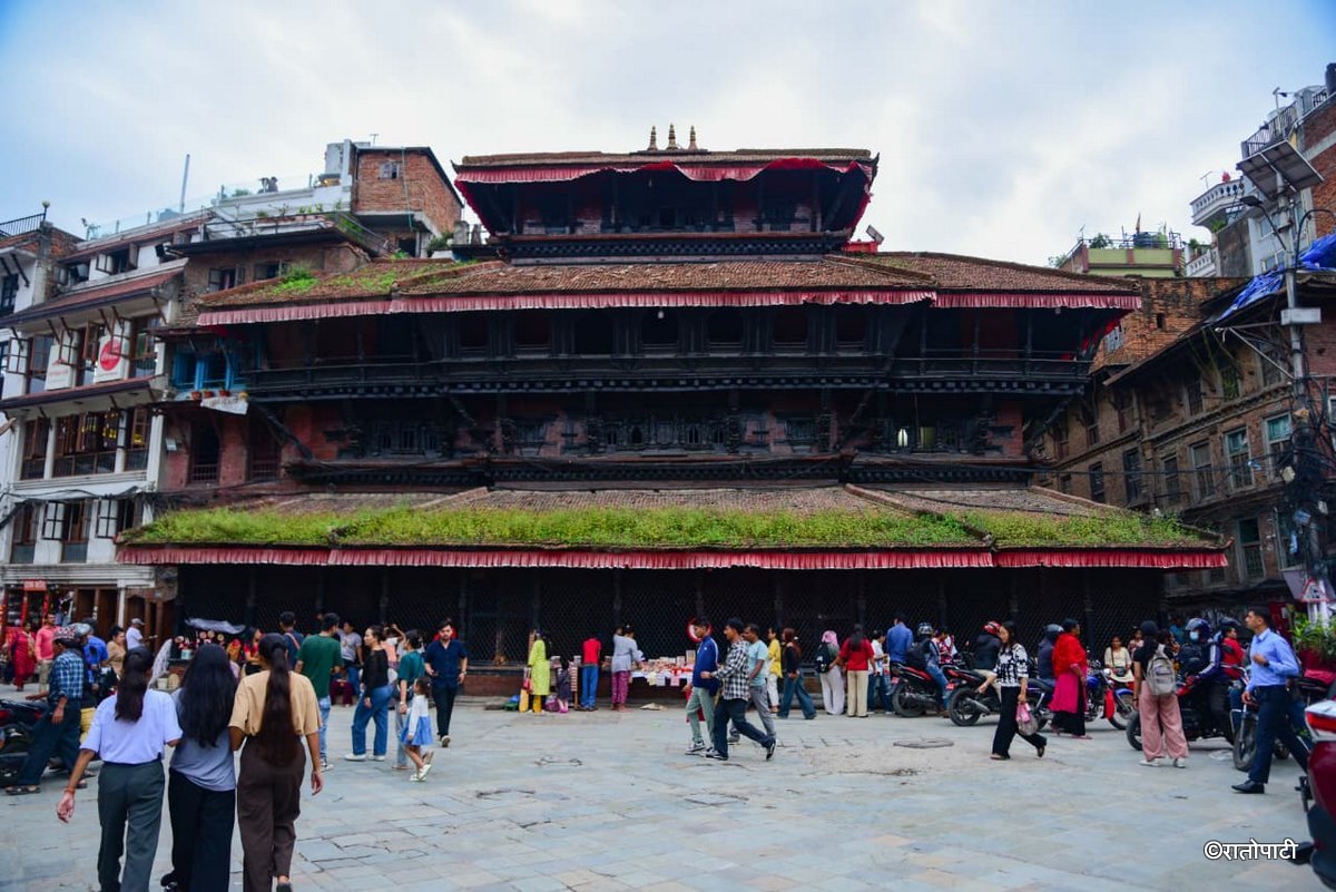 Basantapur ma Grass_NPL (10)