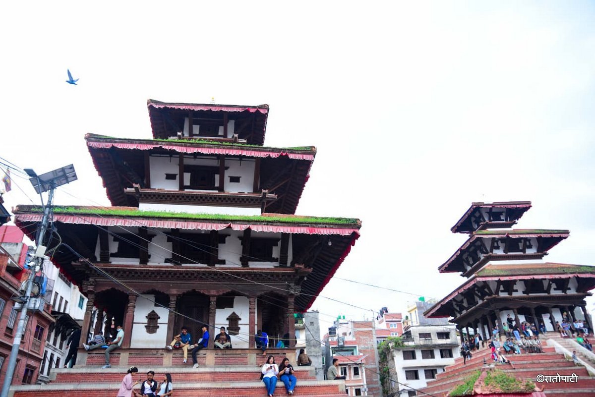 Basantapur ma Grass_NPL (11)