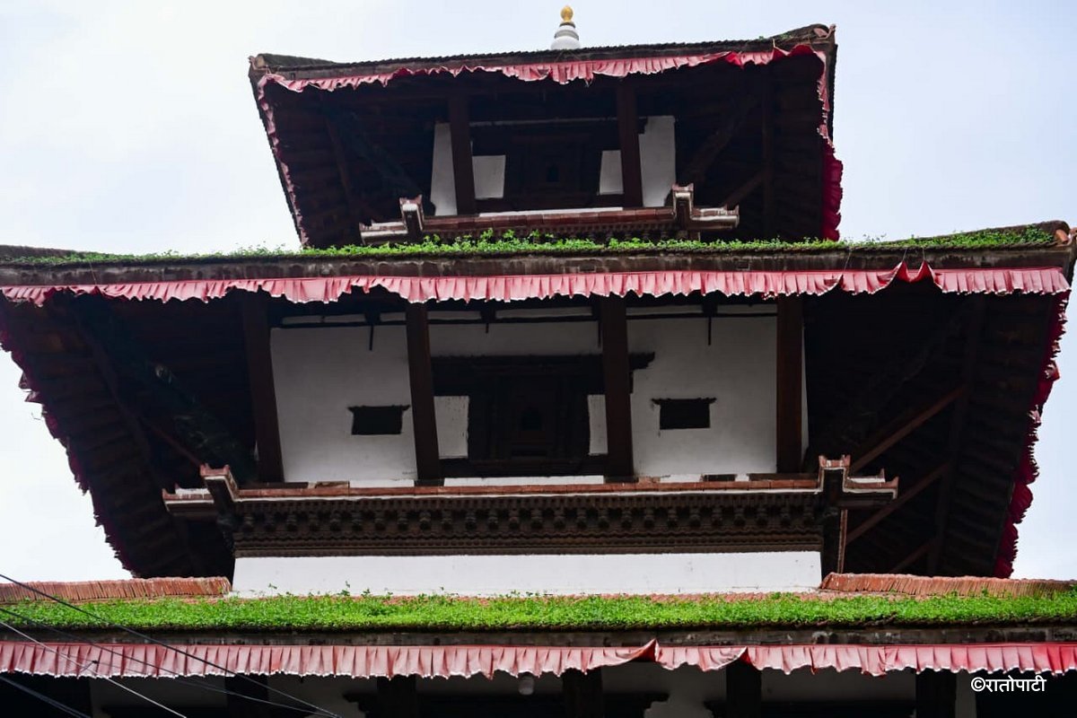 Basantapur ma Grass_NPL (13)
