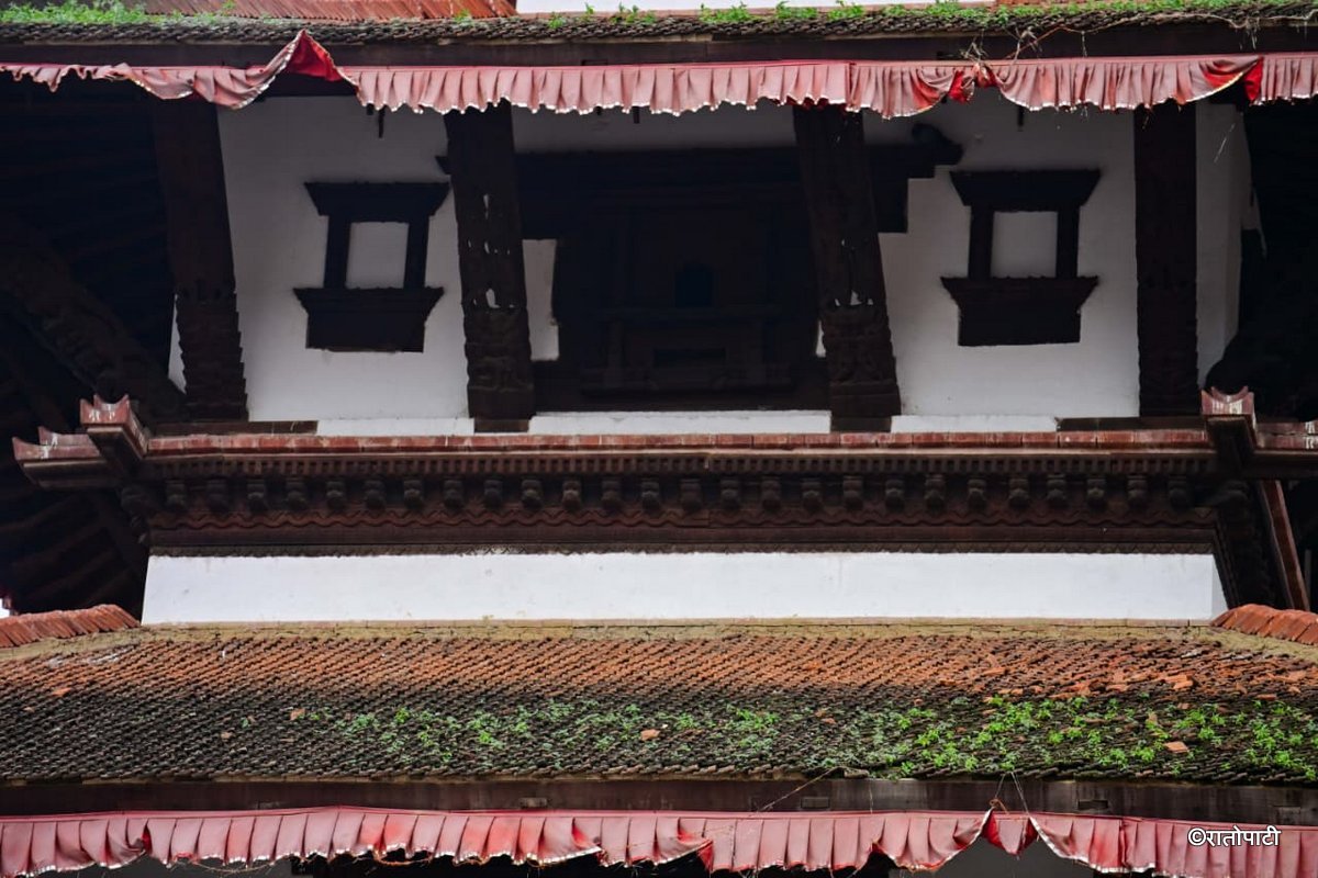 Basantapur ma Grass_NPL (17)