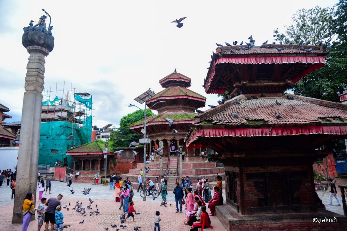 Basantapur ma Grass_NPL (19)