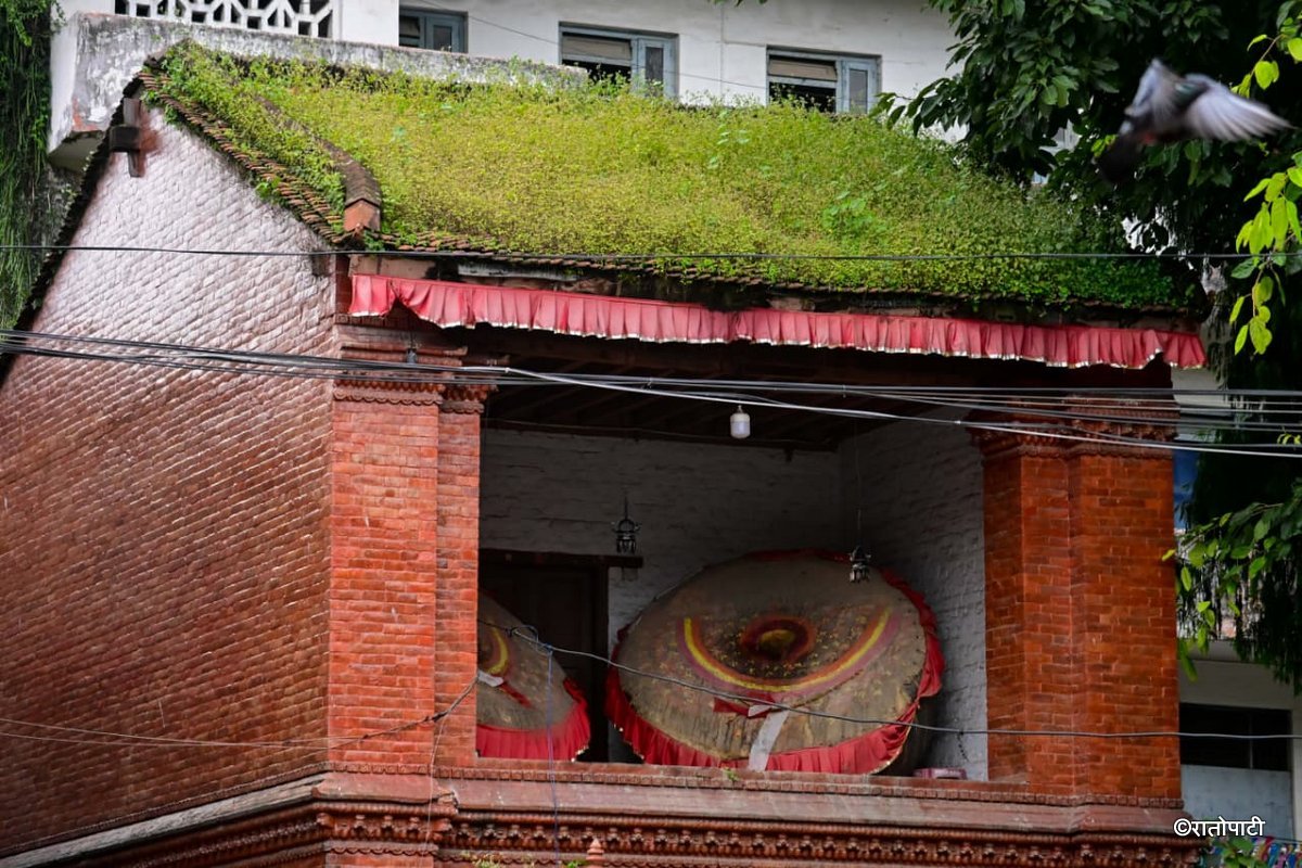 Basantapur ma Grass_NPL (21)