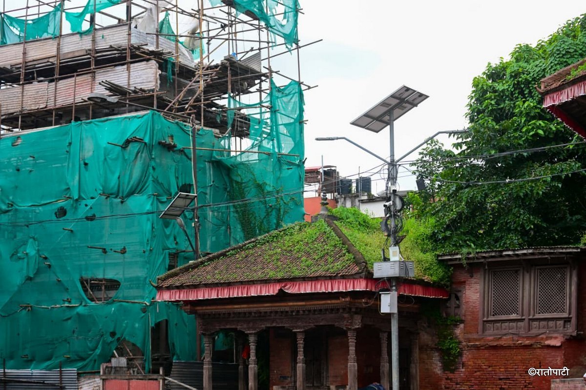 Basantapur ma Grass_NPL (22)