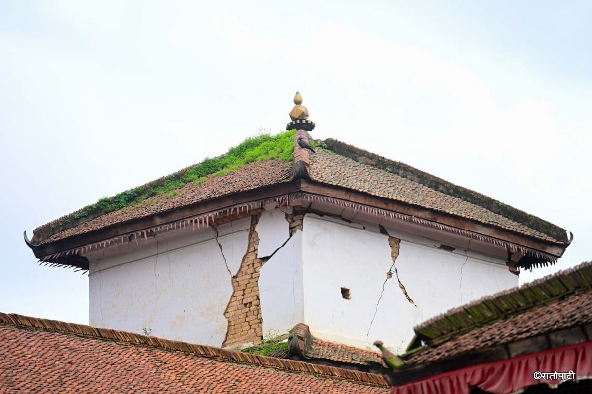 Basantapur ma Grass_NPL (23)