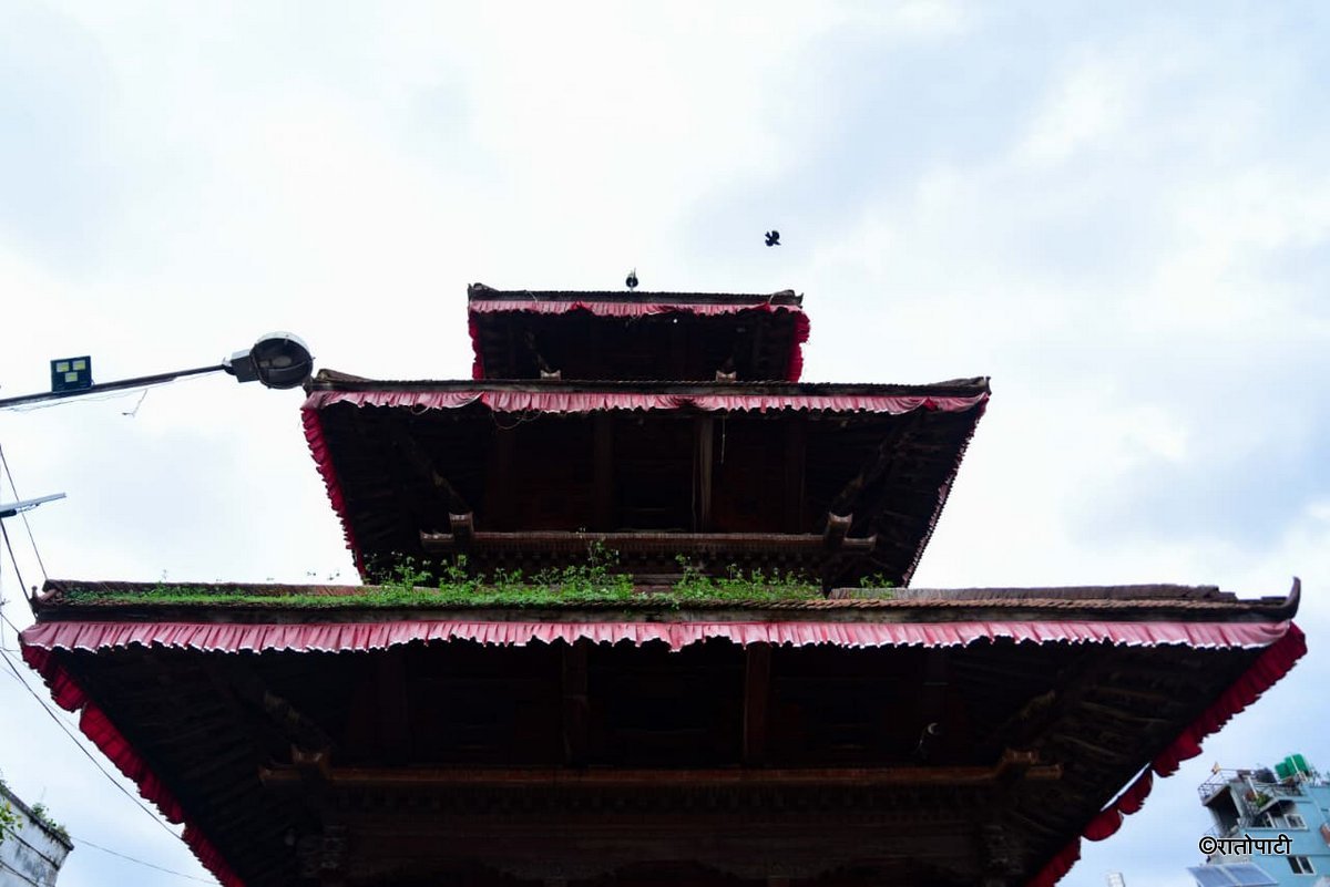 Basantapur ma Grass_NPL (24)