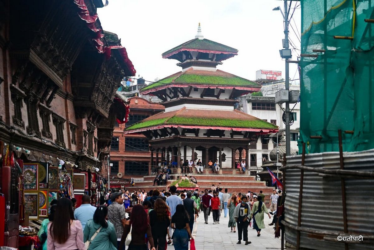 Basantapur ma Grass_NPL (27)