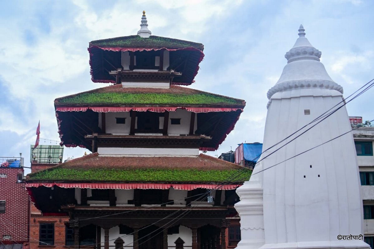 Basantapur ma Grass_NPL (30)