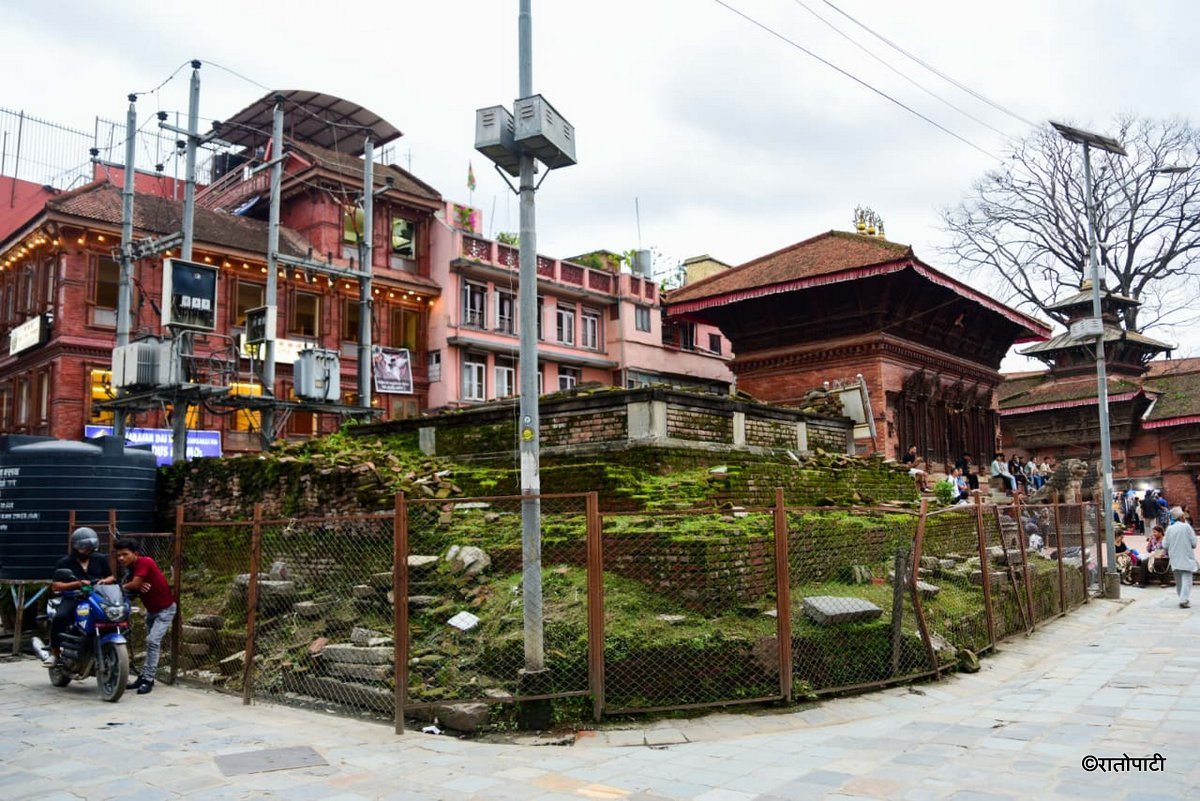 Basantapur ma Grass_NPL (5)