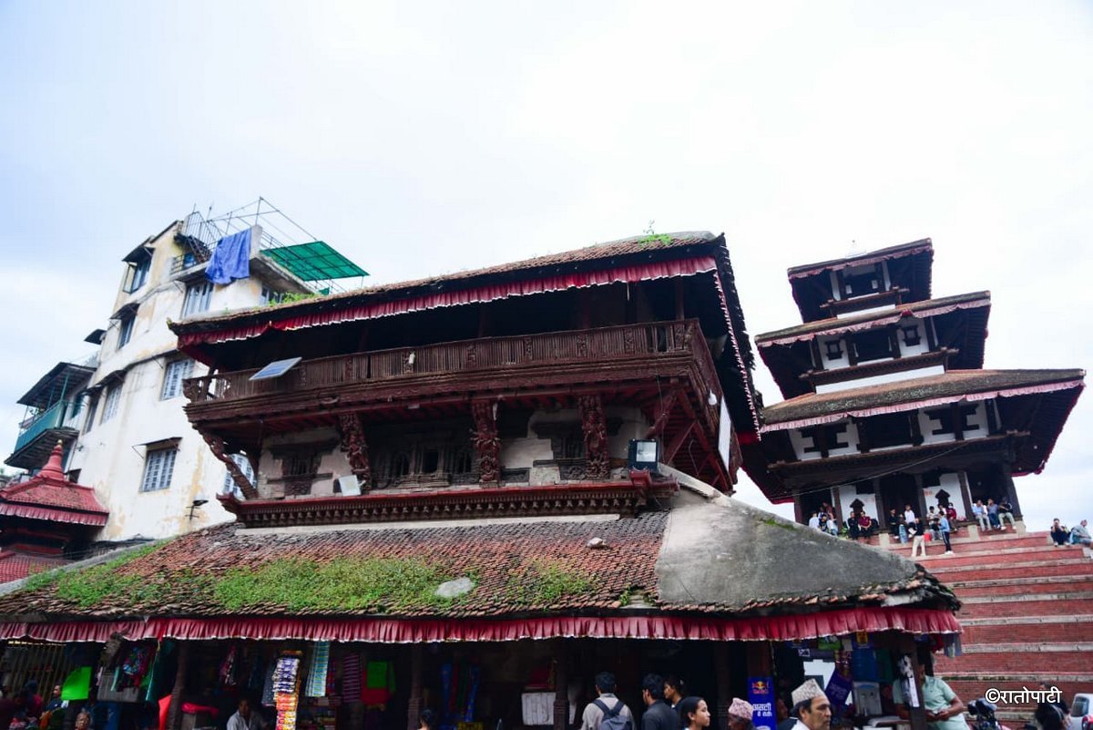 Basantapur ma Grass_NPL (9)