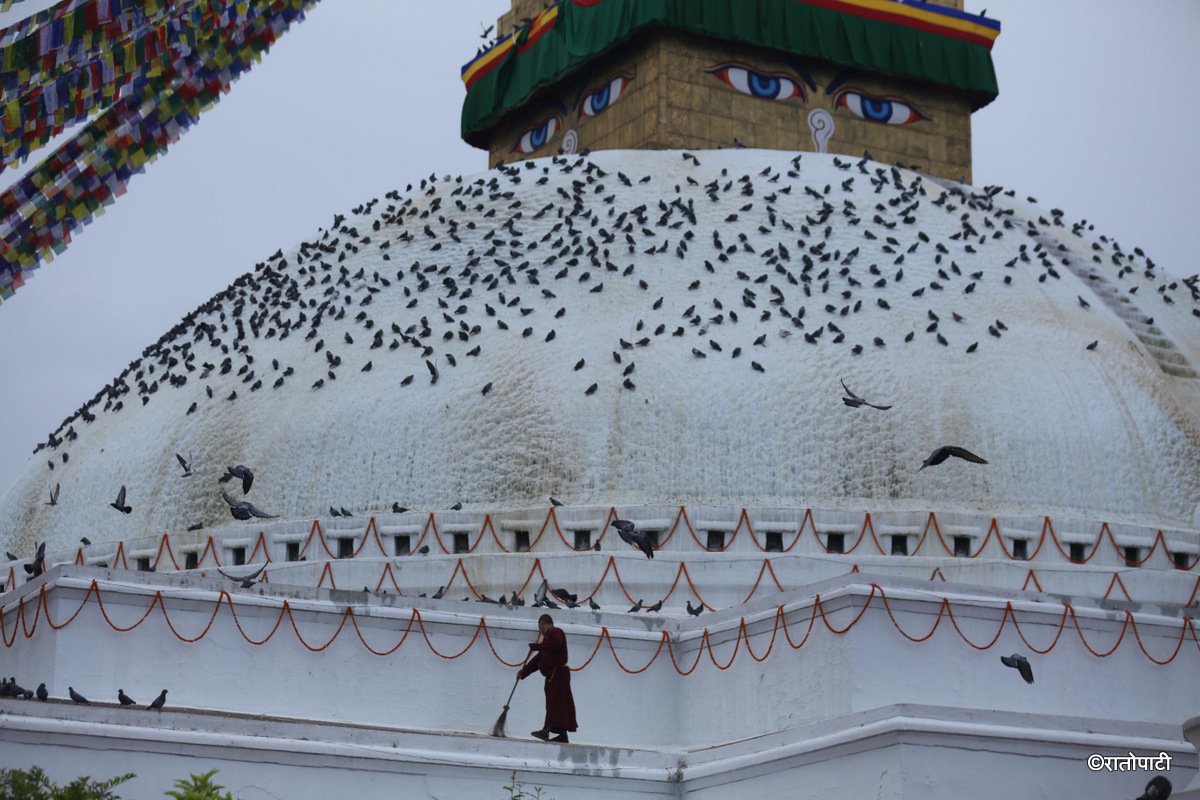 baudha stupa (15)