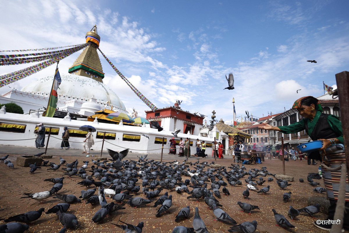 baudha stupa (17)
