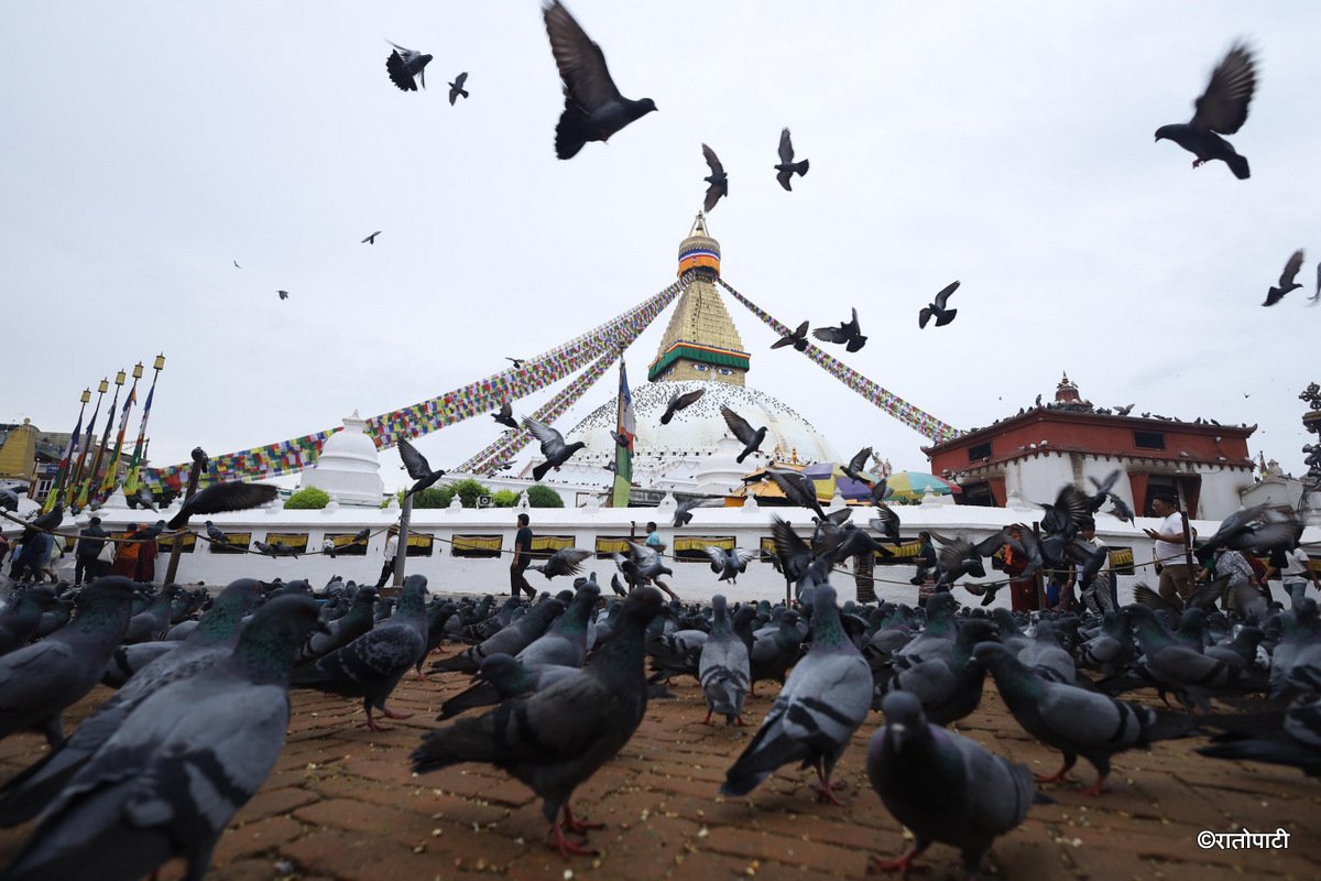 baudha stupa (18)