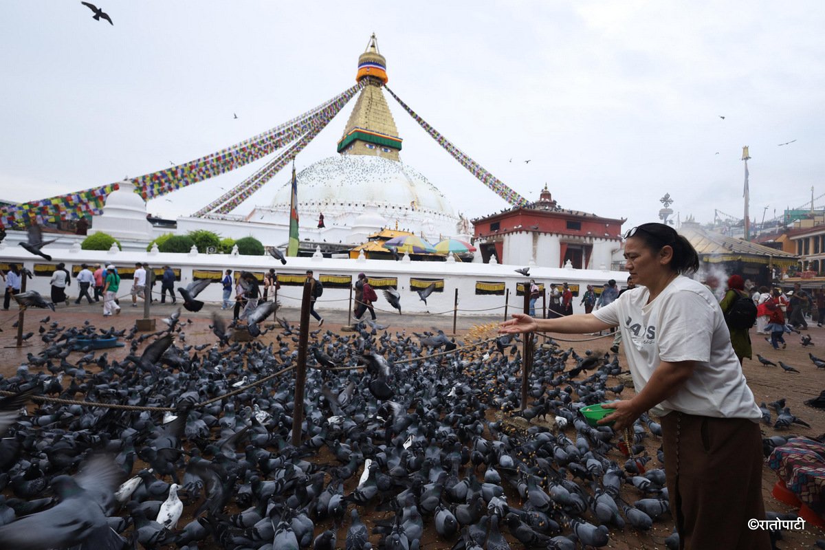 baudha stupa (6)