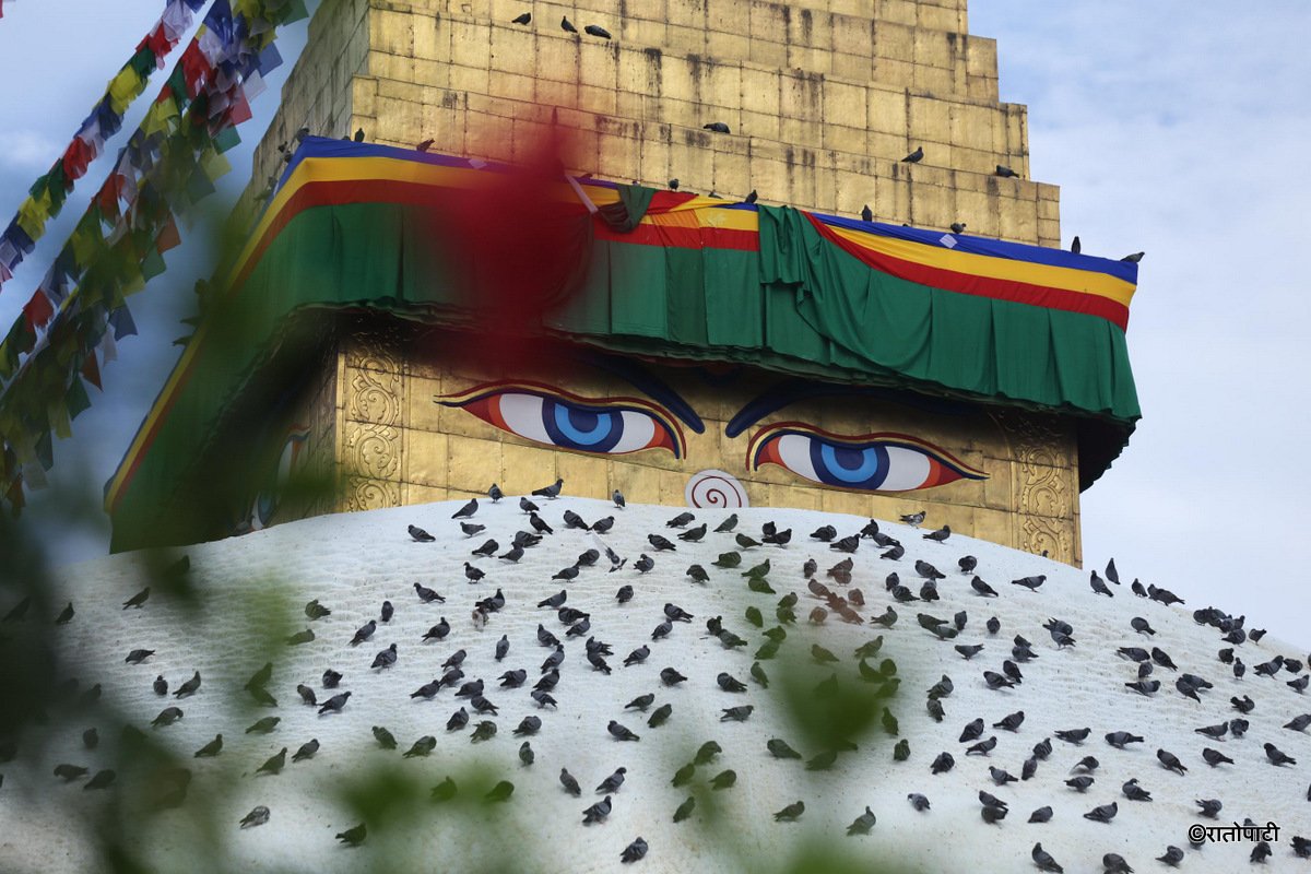 baudha stupa (7)