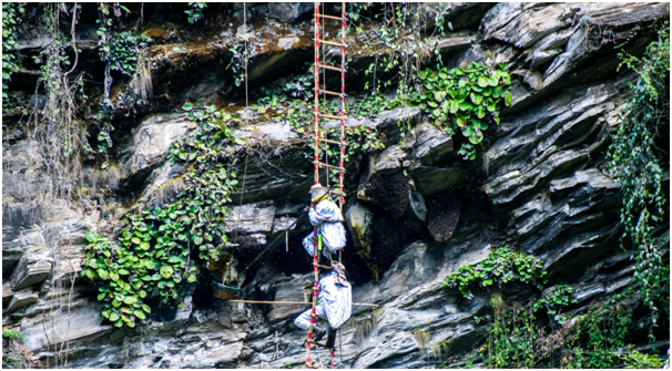 आयआर्जन र पर्यटन प्रवर्द्धनको माध्यम बन्दै महसिकार