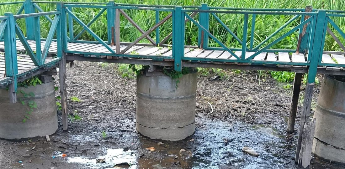   खडेरीले सुक्न थाल्यो बेतना सिमसार