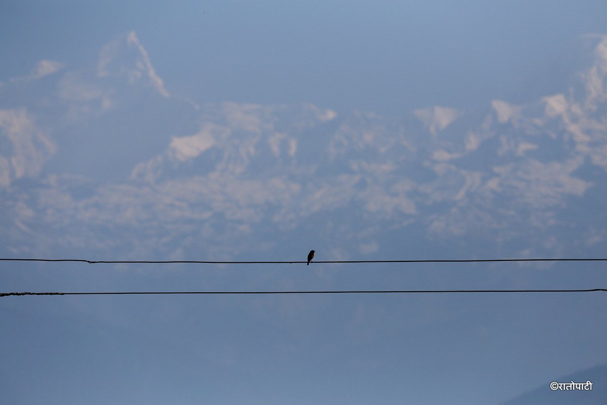 bhachak Gorkha (10)