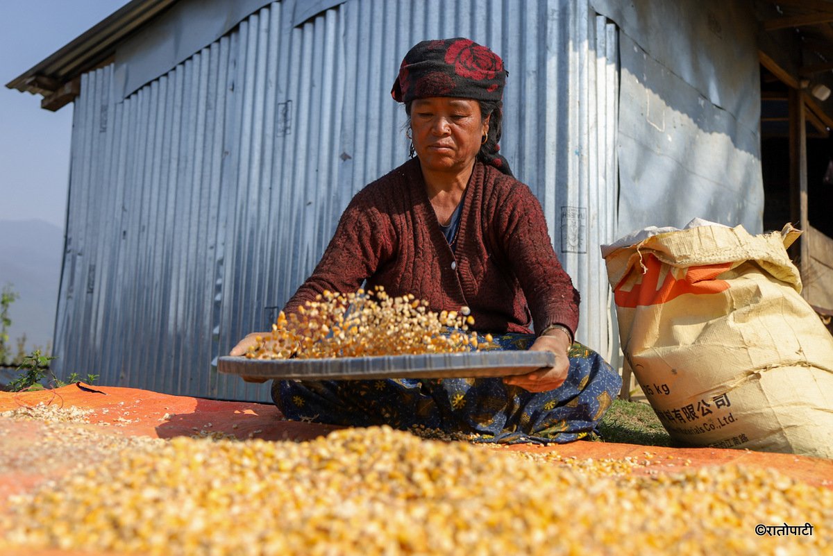 bhachak Gorkha (15)