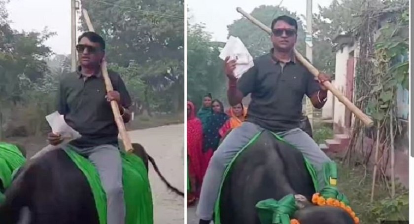   बिहार विधानसभा निर्वाचनः भैँसी चढेर भोट हाल्न पुगेका युवकले बटुले चर्चा