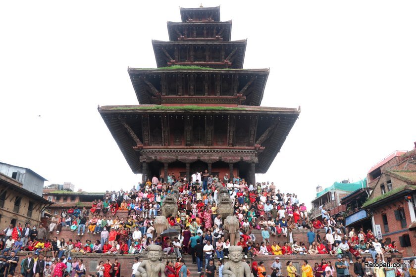 bhaktpur-gaijatra (23)