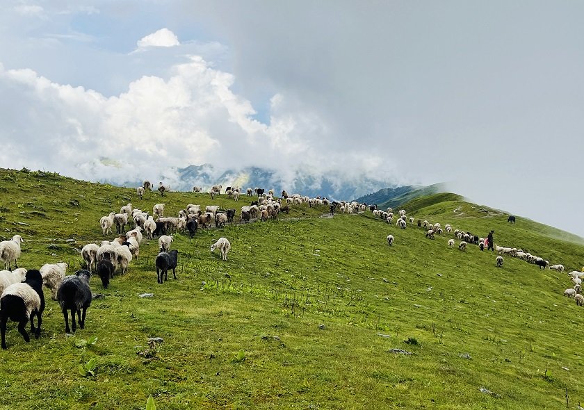   बर्खा लाग्यो लेक उक्लिए गोठाला