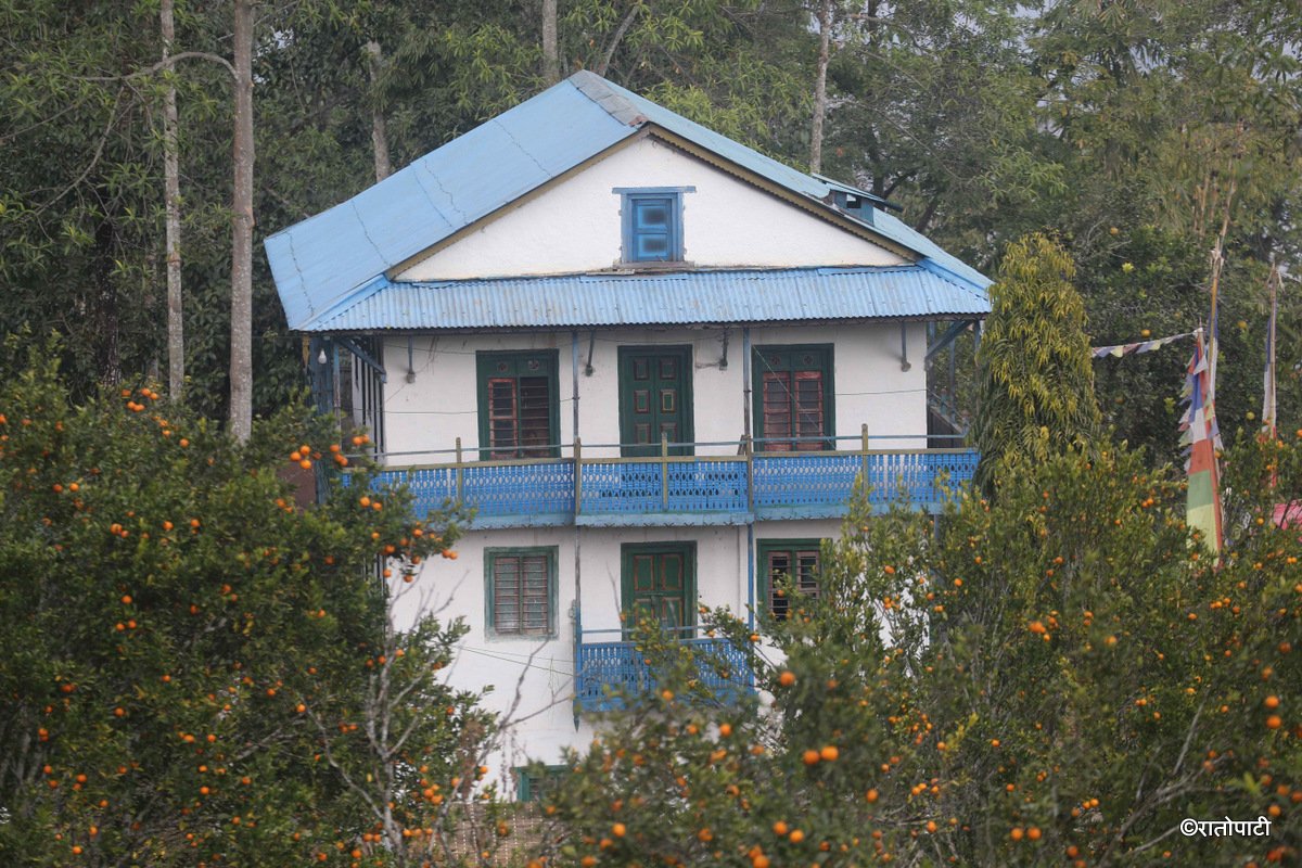 bhojpur orange (2)