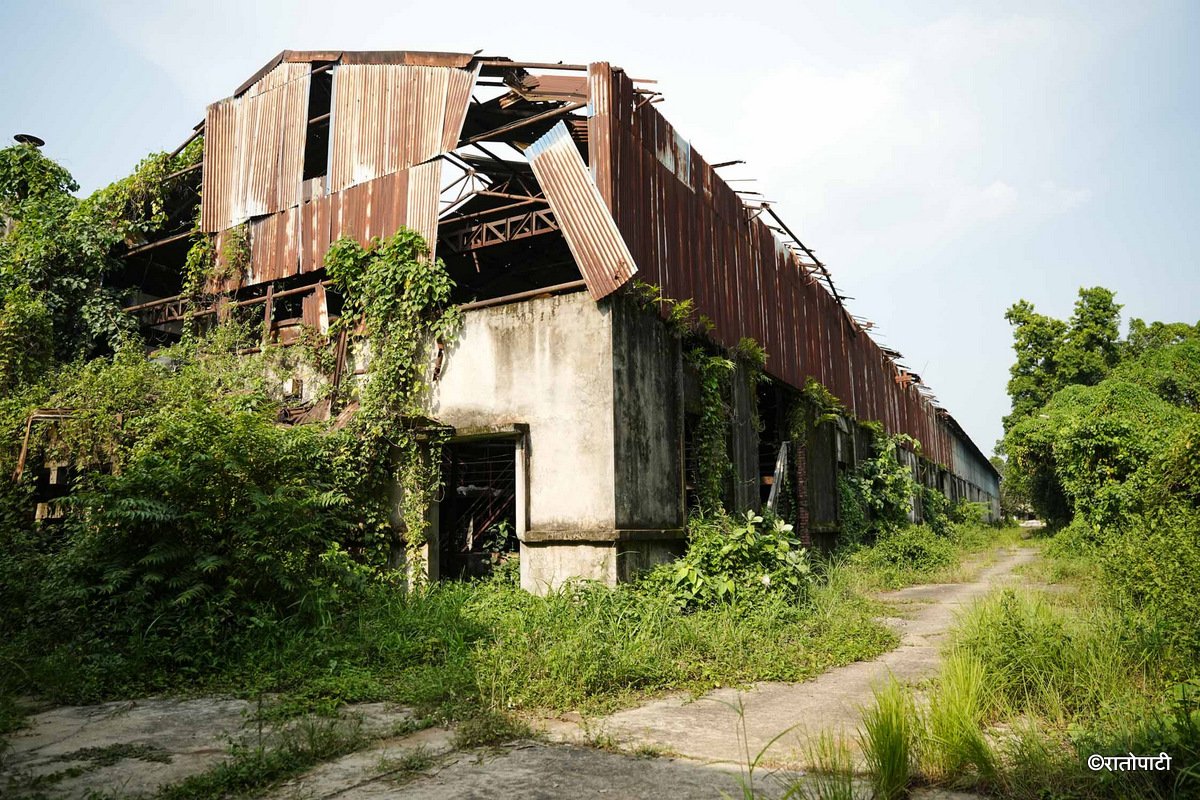 Bhrikuti Paper Factory (13)
