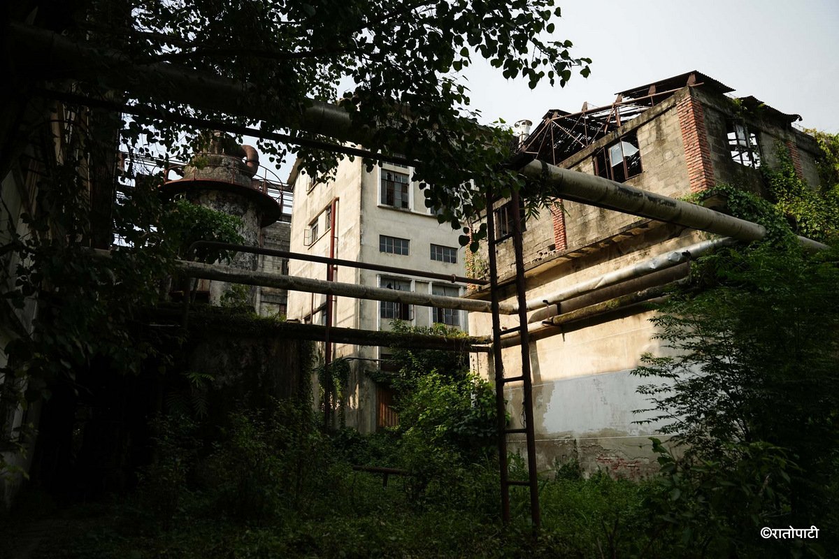 Bhrikuti Paper Factory (14)
