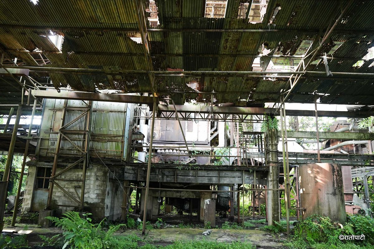 Bhrikuti Paper Factory (5)