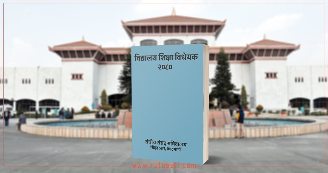 विद्यालय शिक्षा विधेयकका विषयमा समितिलाई बुझाइएको प्रतिवेदनमा के छ ?