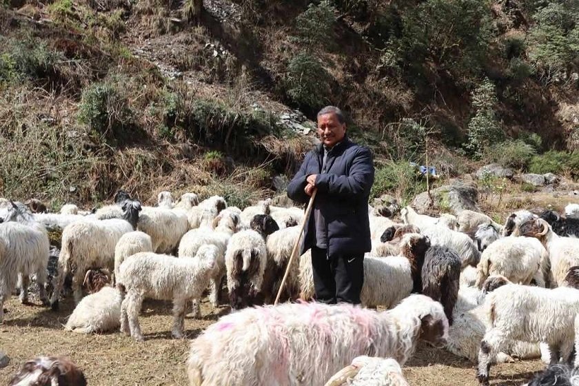 कालिकोटमा विप्लवले गरे भेडा फार्मको उद्घाटन