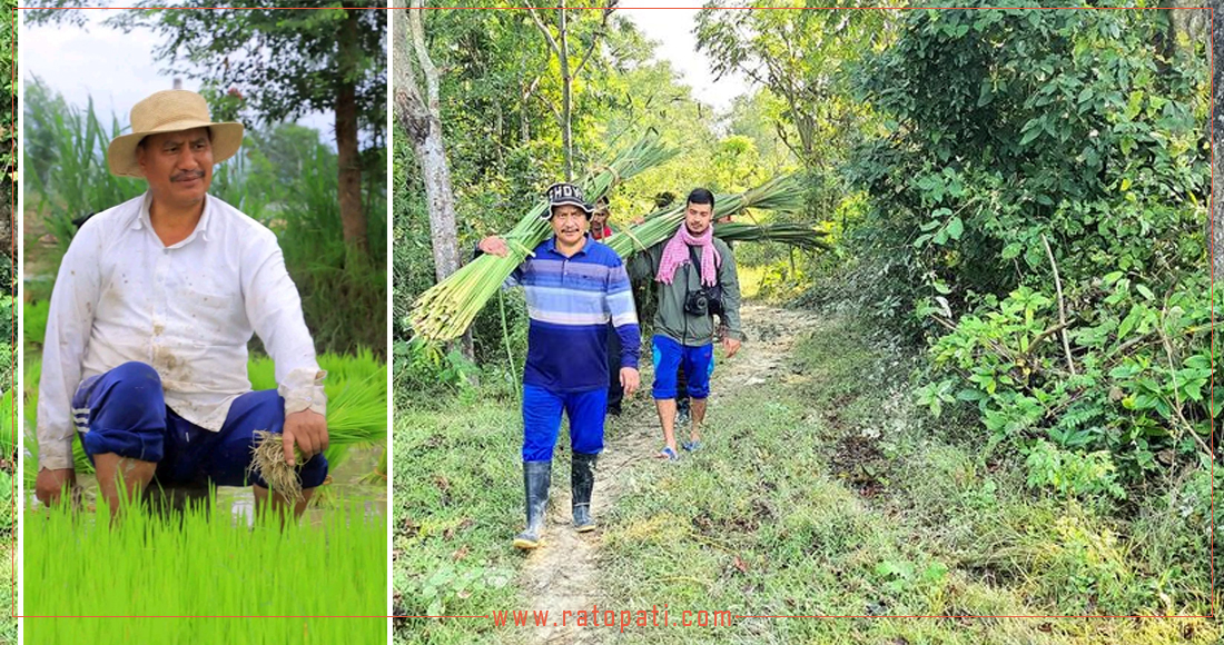  विप्लवले पाएको त्यो ‘दिव्य ज्ञान’, जसले पार्टीलाई आत्मनिर्भर बनायो