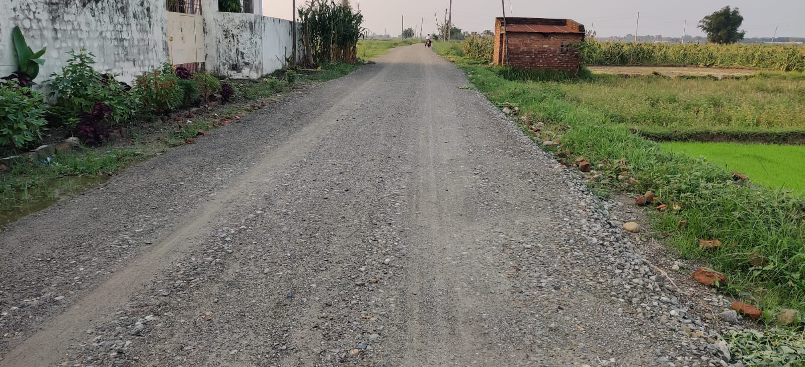 एउटै वडाले बनायो २२ किलोमिटर सडक कालोपत्रे
