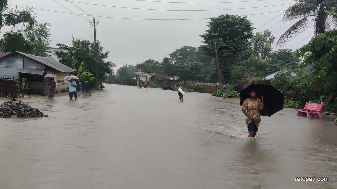 biratnagar badi (13)