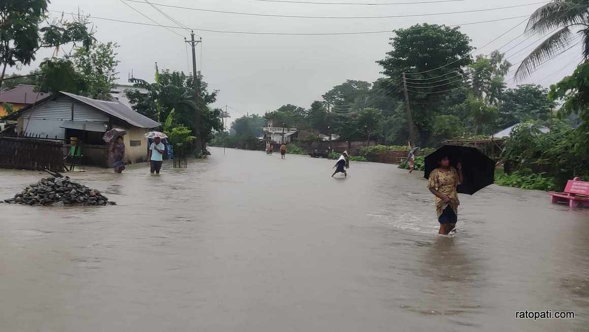 biratnagar badi (14)