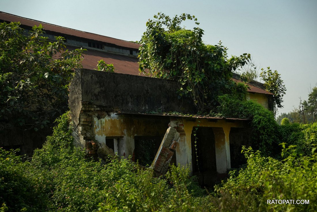 Biratnagar Jute Mill_NPL_PCT (11)