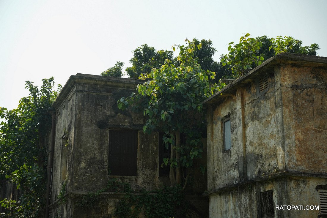 Biratnagar Jute Mill_NPL_PCT (15)