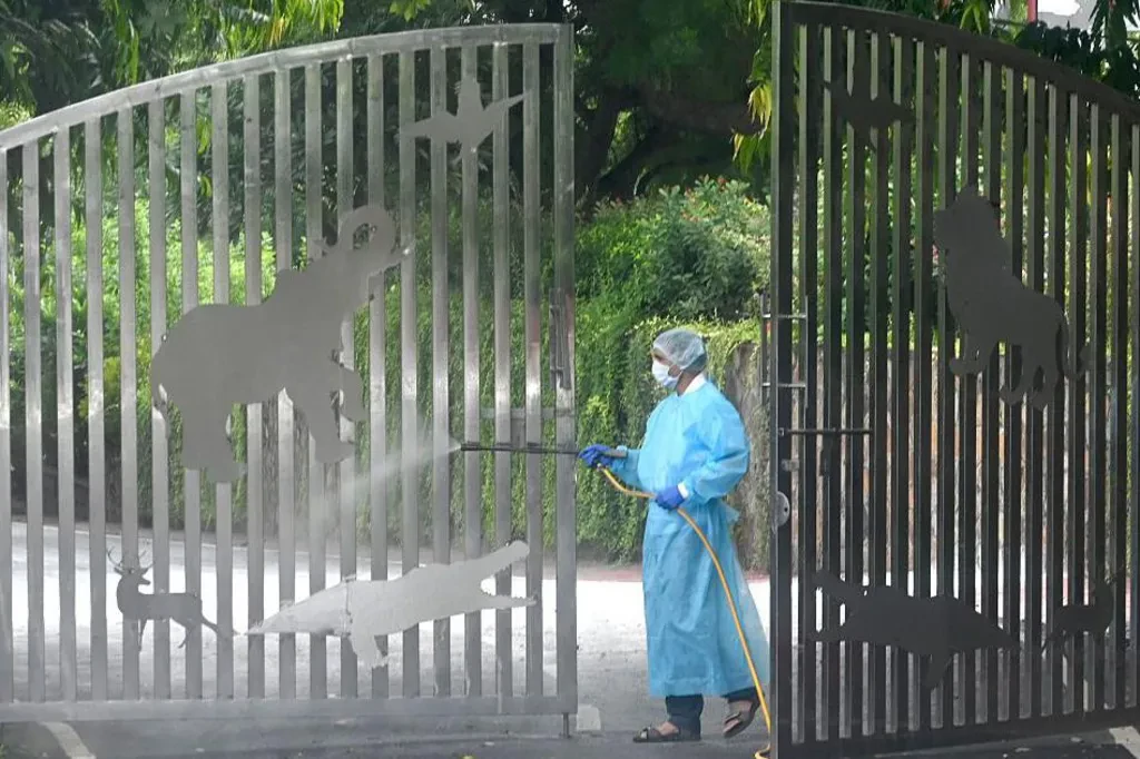 bird flu (3)