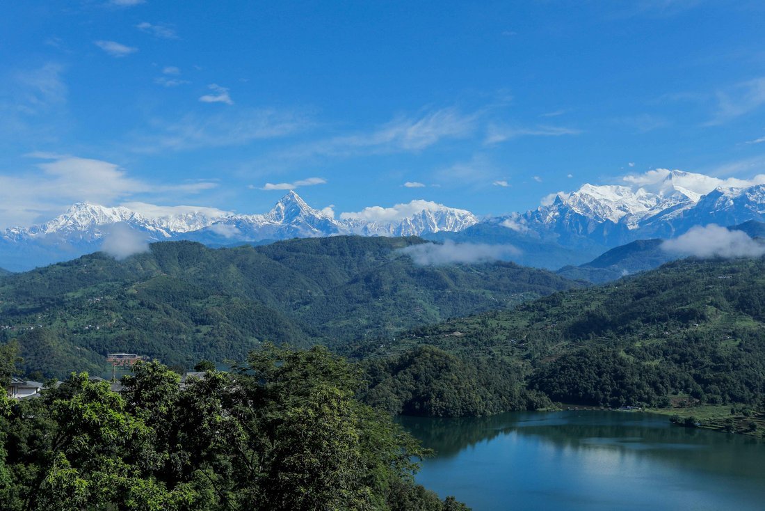 bird kaski (2)