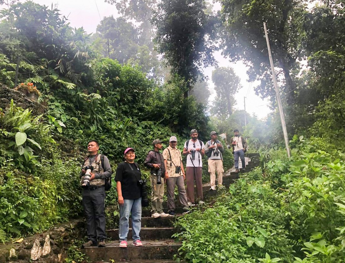 bird kaski (3)