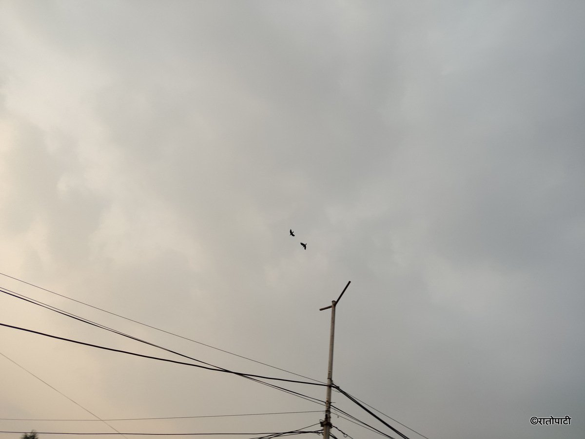 birendra nagar (8)
