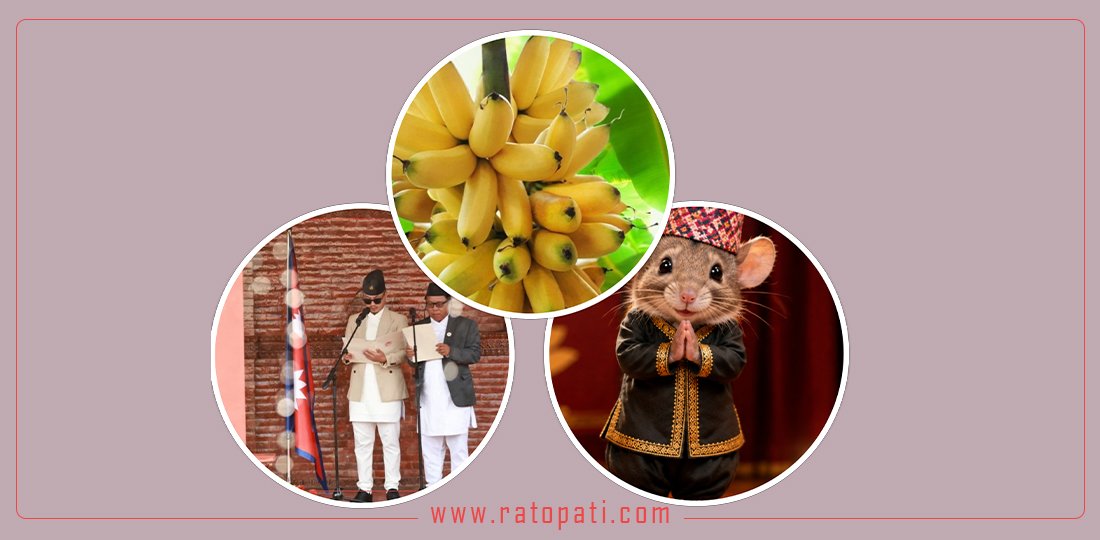 १० बज‍े १० समाचार : मन्त्रिपरिषद् पुनर्गठनदेखि ‘मु