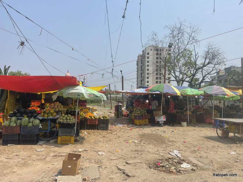 birgunj-road (10)