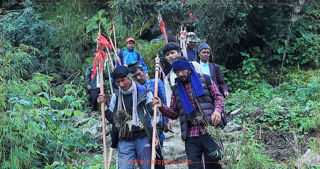 देवीको दर्शन गर्न जुत्ता–चप्पलविना ३६ घण्टा पैदल यात्रा छिचोल्छन् भक्तजन