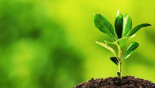   किसानलाई २२ प्रजातिका बिरुवा निःशुल्क वितरण