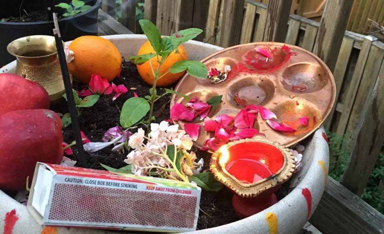 Devotees Flock to Narayan Temples on Harishayani Ekadashi